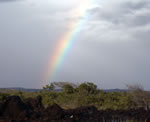 Click to enlarge Rainbow on the coast of Ka'u on the island of Hawaii